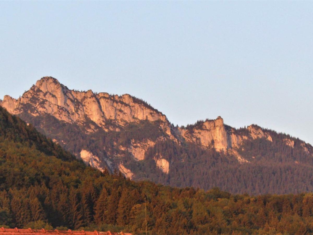 Ferienwohnung Bei Mutti Rottau Bagian luar foto